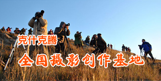 来利国际w66官方网站